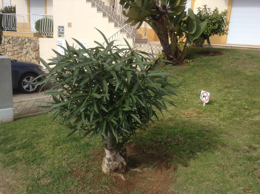 Votre Appartement A Portimão Kültér fotó